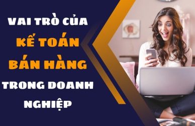 Vai Trò Của Một Kế Toán Bán Hàng Trong Doanh Nghiệp