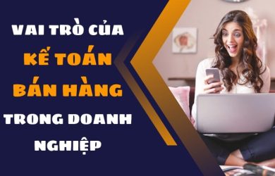 Vai Trò Của Một Kế Toán Bán Hàng Trong Doanh Nghiệp